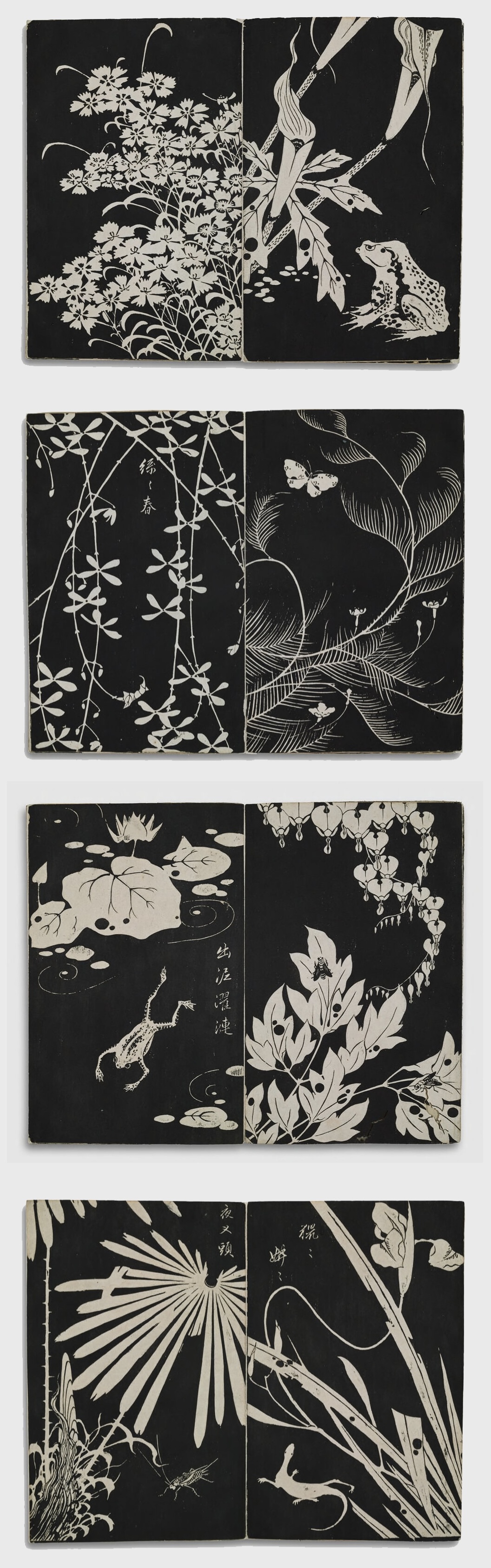 Itō Jakuchū, Flowers from the Kunlun Mountains, 1768
